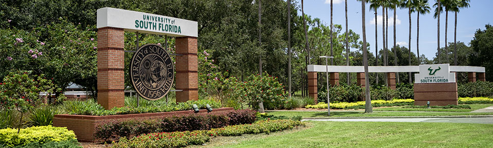 University of South Florida image